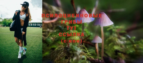 тгк Бронницы