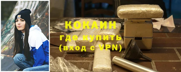 mdpv Бородино