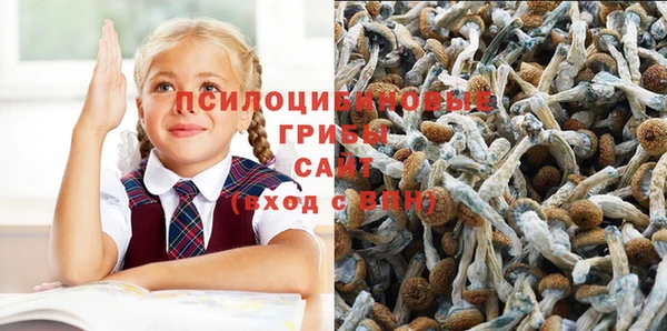 тгк Бронницы