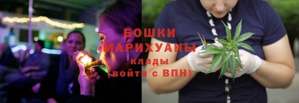 тгк Бронницы
