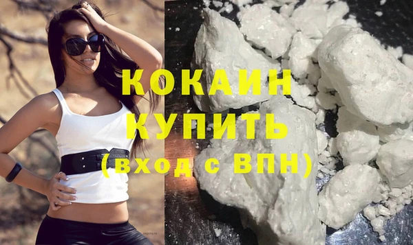mdpv Бородино