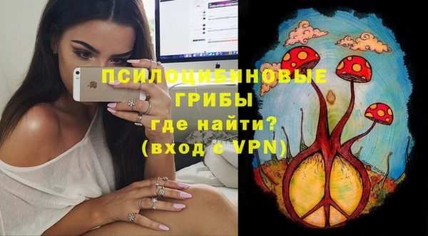 mdpv Бородино