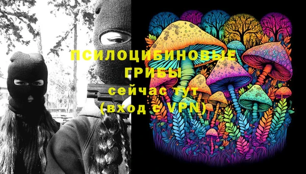 тгк Бронницы