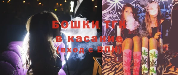 тгк Бронницы