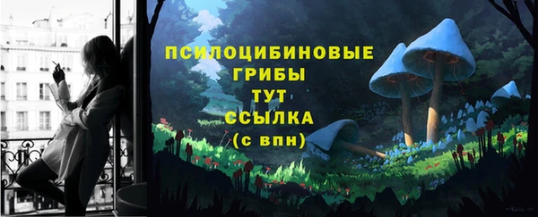 mdpv Бородино