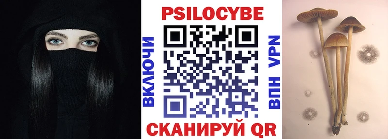Псилоцибиновые грибы Psilocybe  Чехов 